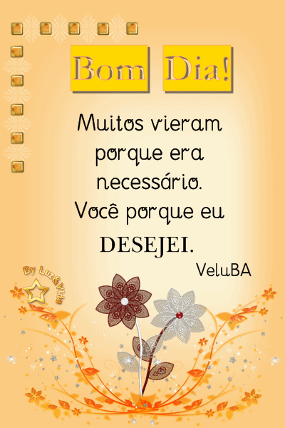 novo231-MB-maryluz.gif