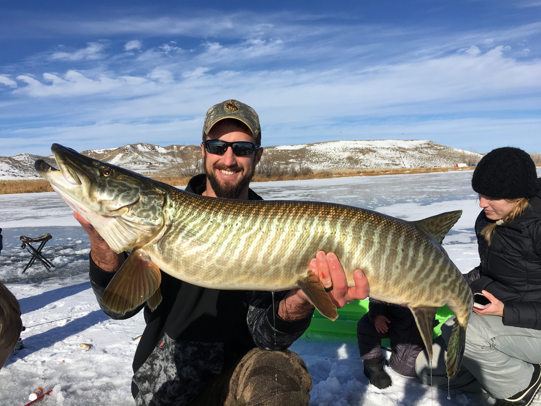 5BFF7A7F-0087-4442-A650-7081F2B90F2A