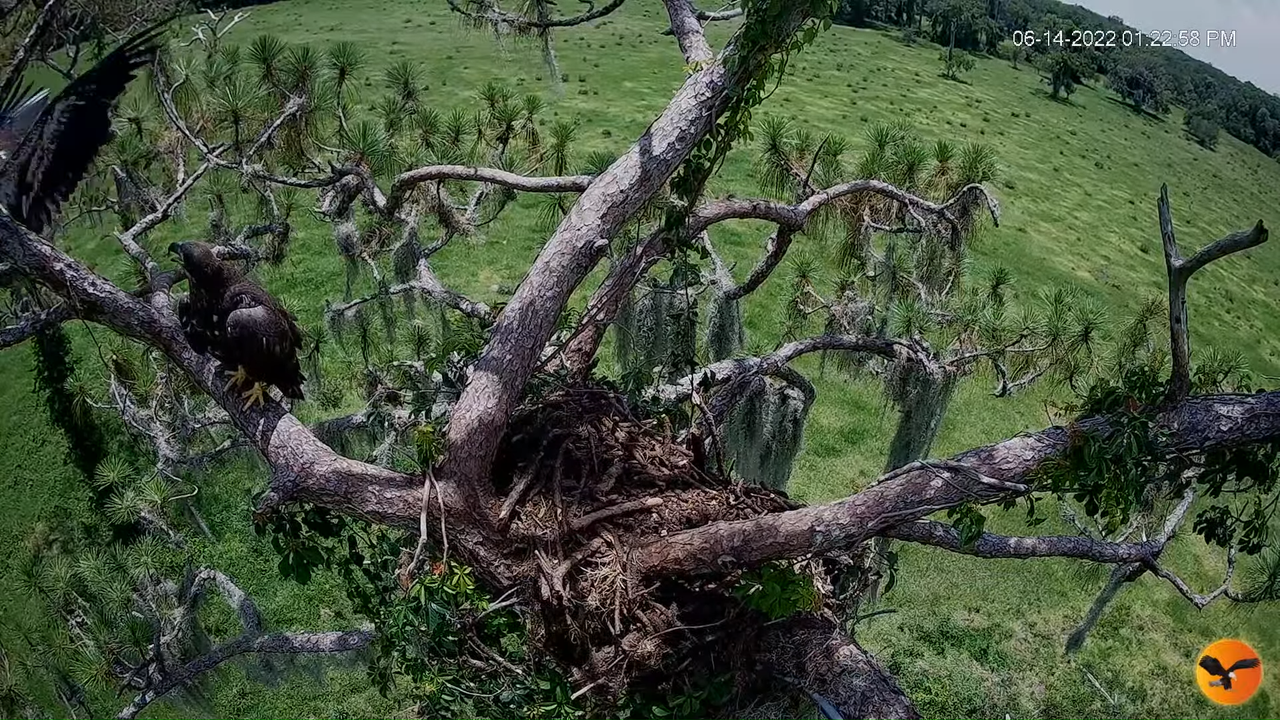 EC 4K Overhead Cam 1-2-44 screenshot