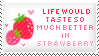 life in strawberry