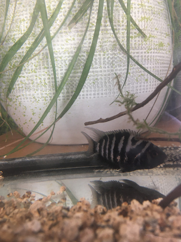 578D07E1-7626-4378-9006-BB882823EC6D