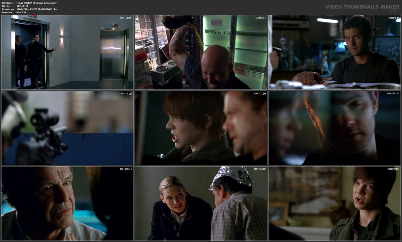 Fringe S02E07 Of Human Action.mkv