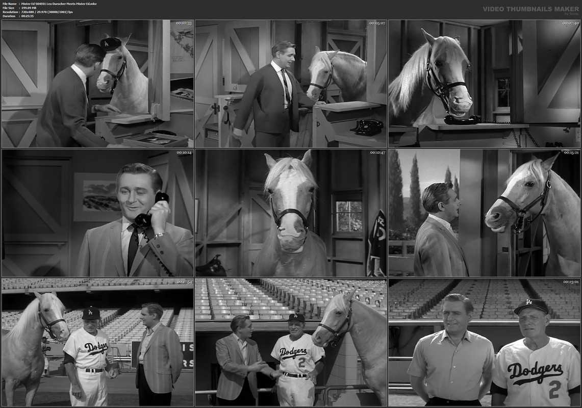 Mister Ed S04E01 Leo Durocher Meets Mister Ed.mkv