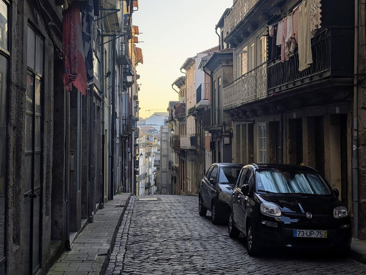 643938215 25574952578871038 5569234102170636435 n