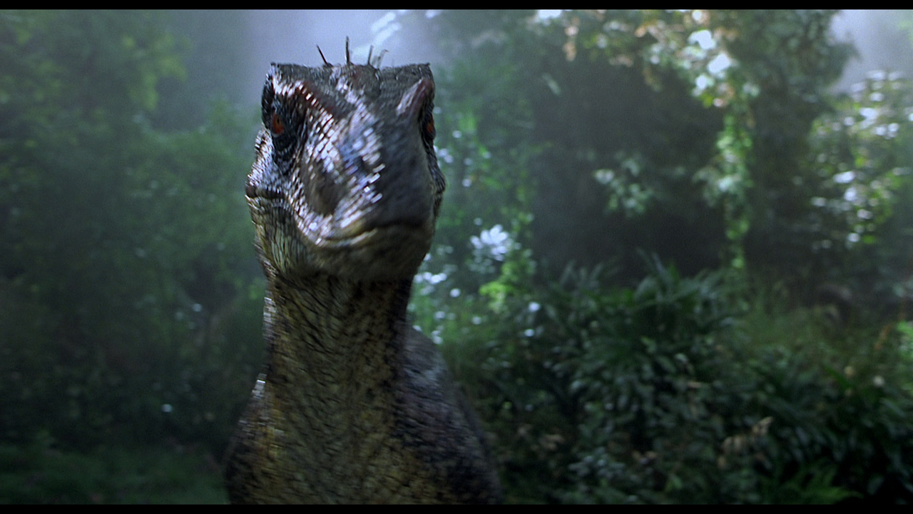 vlcsnap-2020-07-26-18h44m55s575