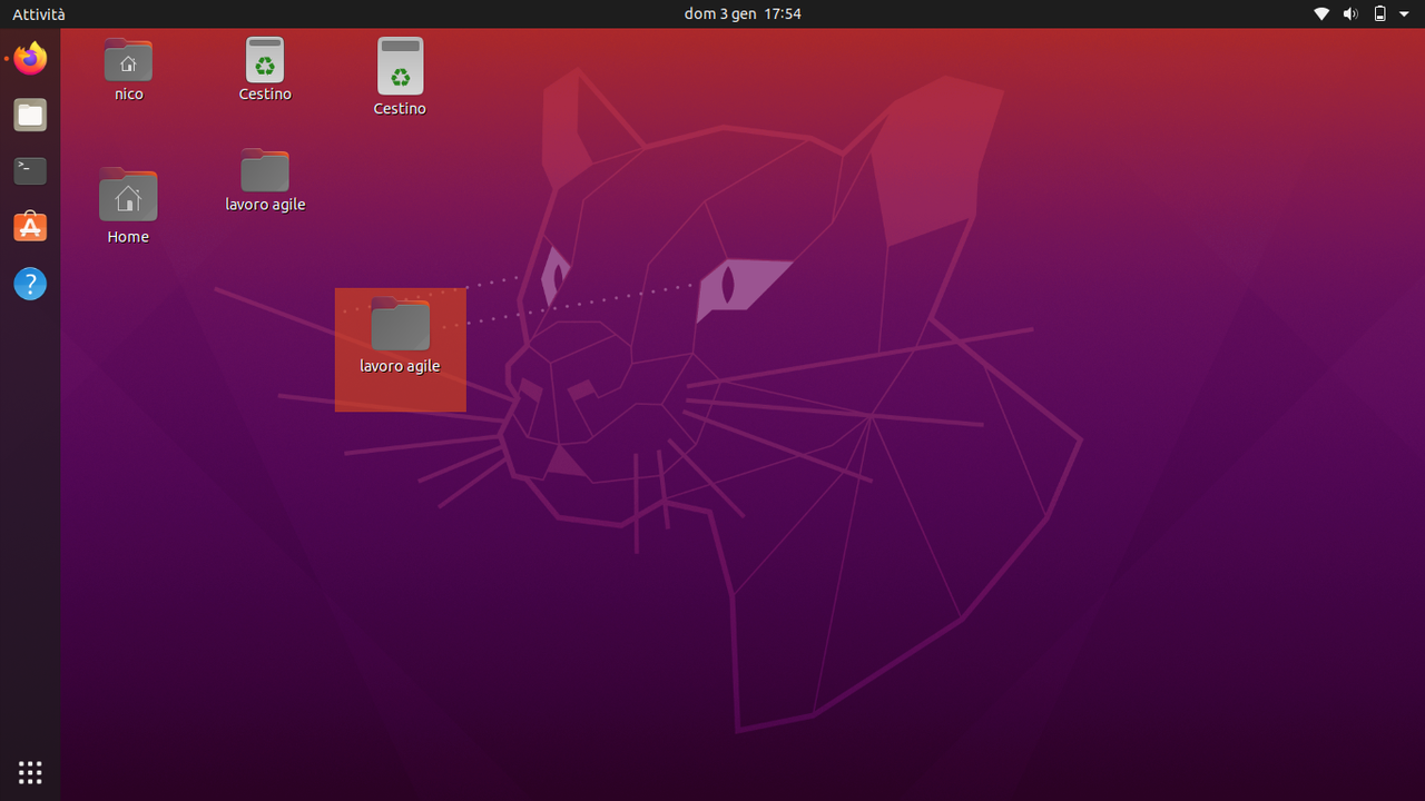Ubuntu_20024_duplicated_desktop_items