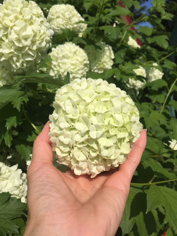 5CE2A2D8-3924-4E90-A3C3-52B441A0EA33