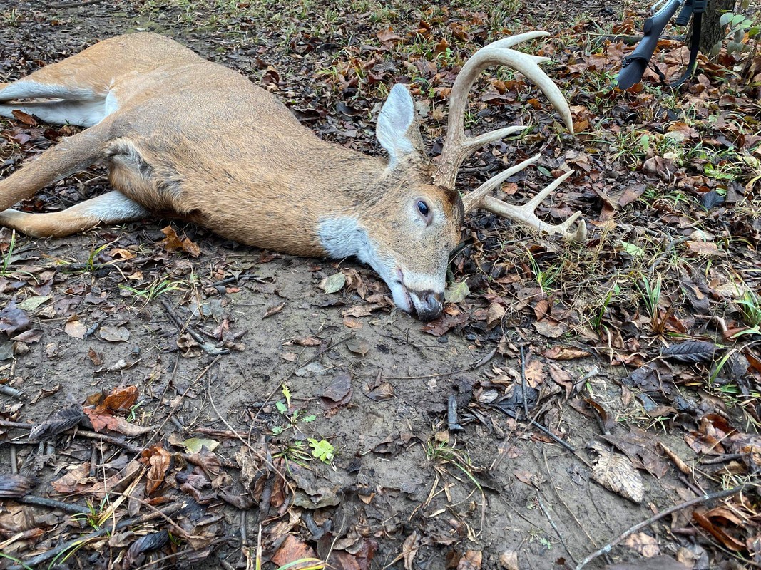 C149272B-4BEA-40FF-BED8-EABC09ADA3BA