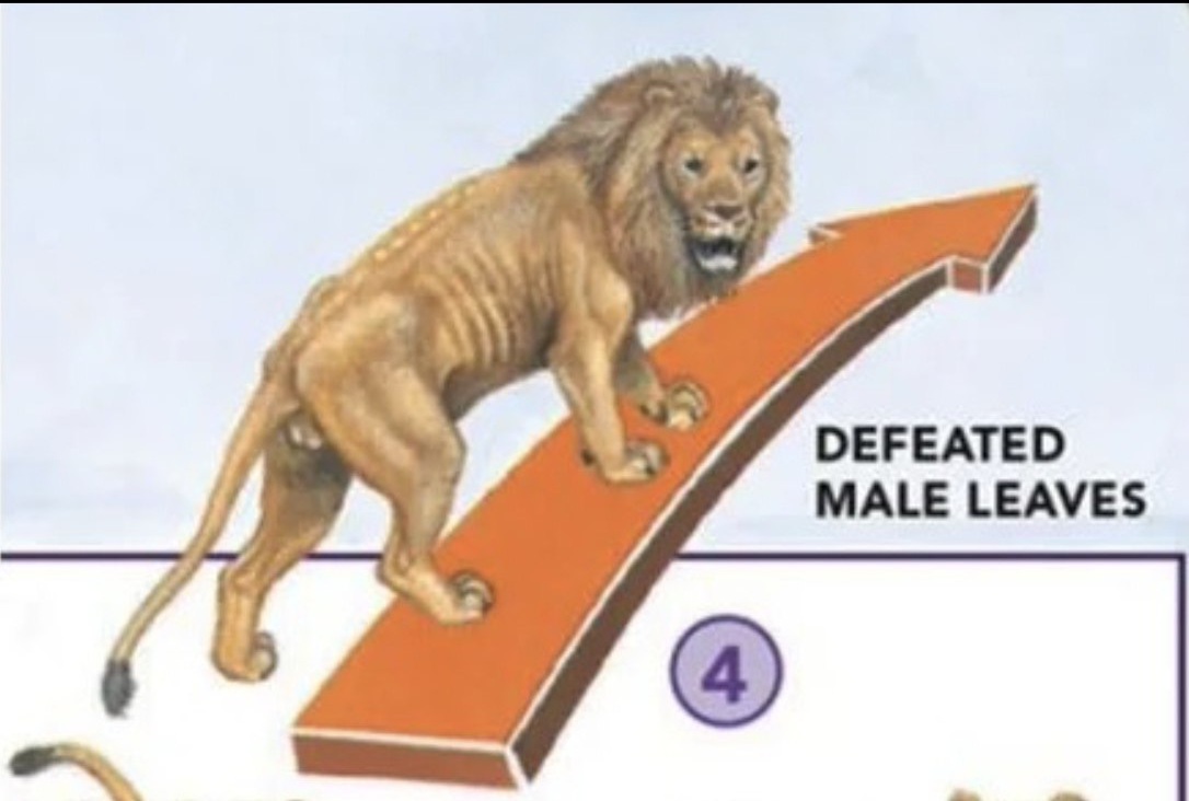 defeatedmale.jpg