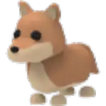 Dingo