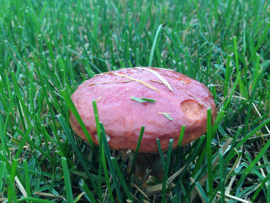 EB035D99-40F1-40F4-9762-AE41D4B31979