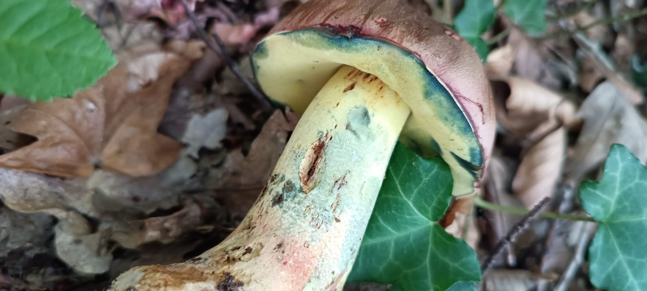 WhatsApp Image 2023-08-08 at 17.01.35 (3)