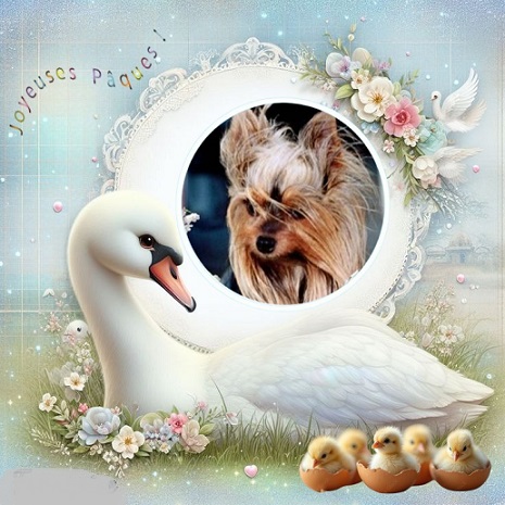 pixiz 03 04 2026 18 01 56