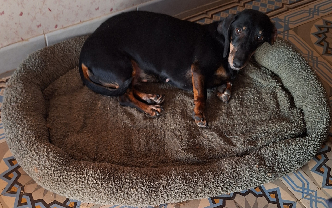 [Image: 20240119-144319.jpg]