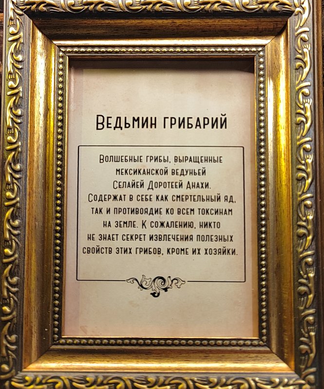 https://i.postimg.cc/rmjHrJkv/032-IMG-20250128-154357.jpg