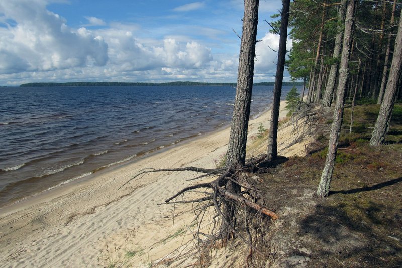 IMG-7332.jpg