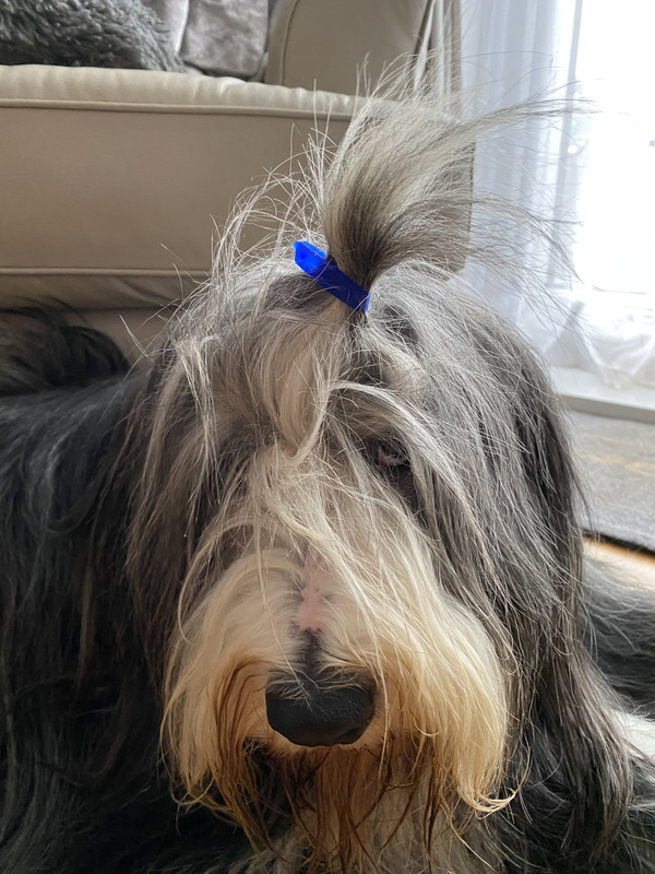 7DDEFB7F-38B5-484F-941C-22C2B6AB4575