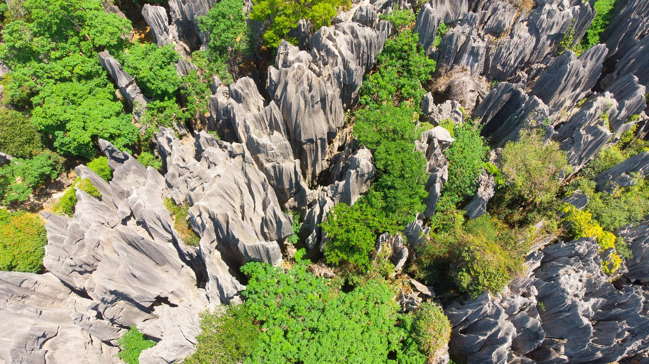 Yunnan 2019 - Blogs de China - Dia 1 - Kunming (11)
