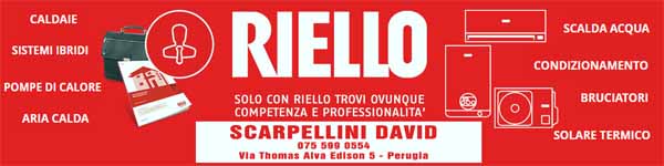 Riello600150