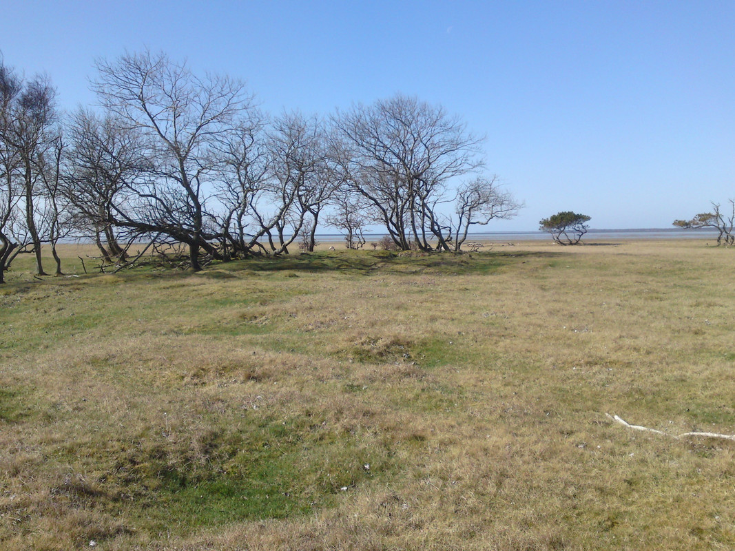 DSC02029