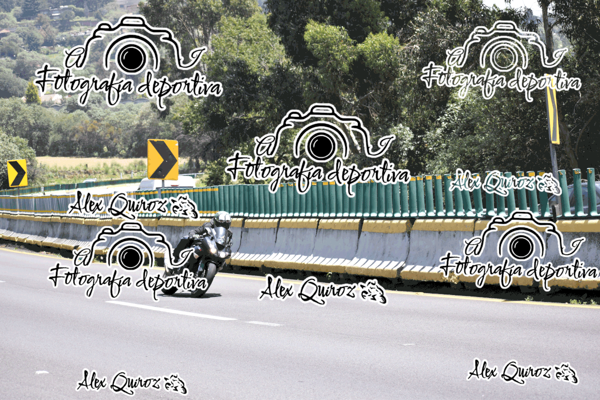 AVQ 7431 — Postimages