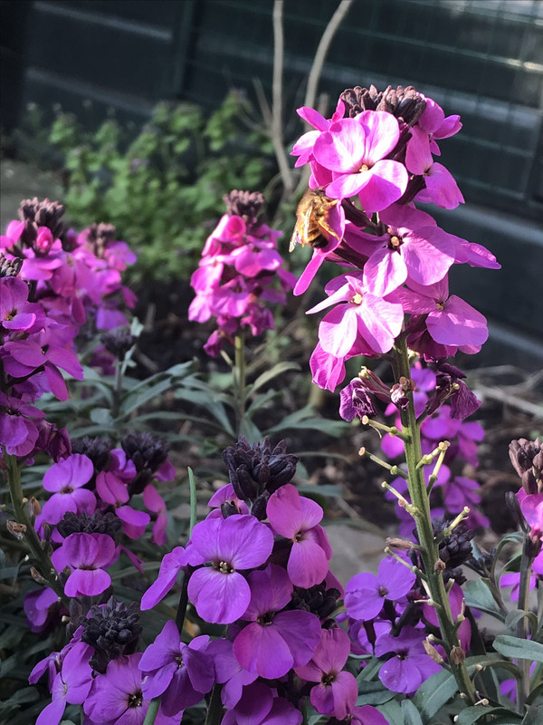 662AB9B3-D43D-4738-86A6-4F8D50E0CA48