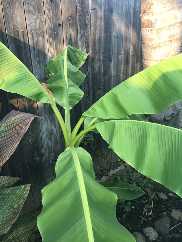 379F87D1-DA32-4D63-B6B1-68D27CEAD589