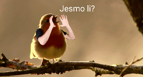 slika