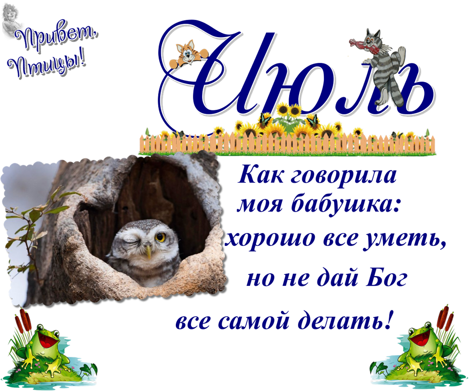 https://i.postimg.cc/rmmCwKVc/31-07.png