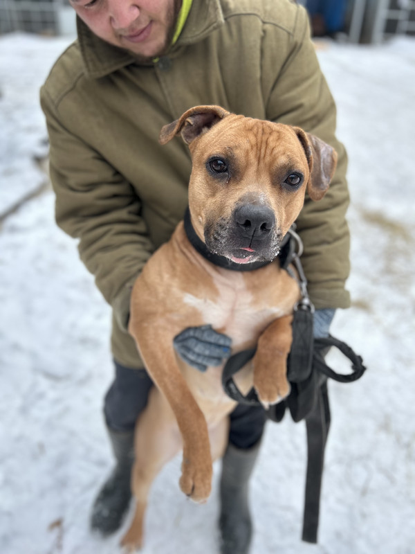 1DCD339C-4BF6-4905-A22D-5601AAE22576