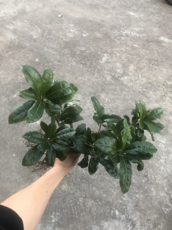 微信图片_20241130195005