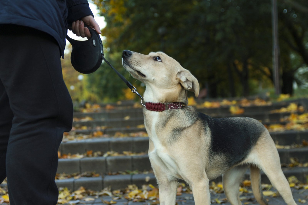 изображение_viber_2022-12-02_13-25-01-376