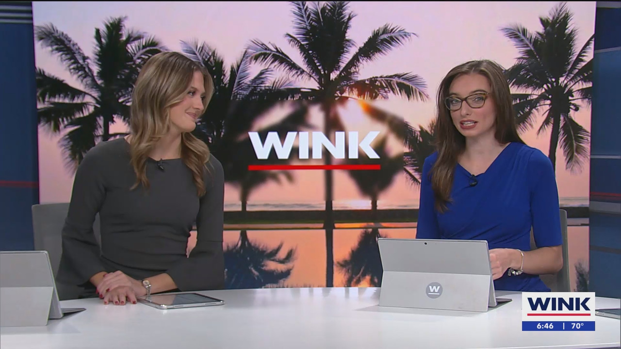 WINK NEWS at 600am Saturday_20250111_11001200.ts_snapshot_00.46.55.698