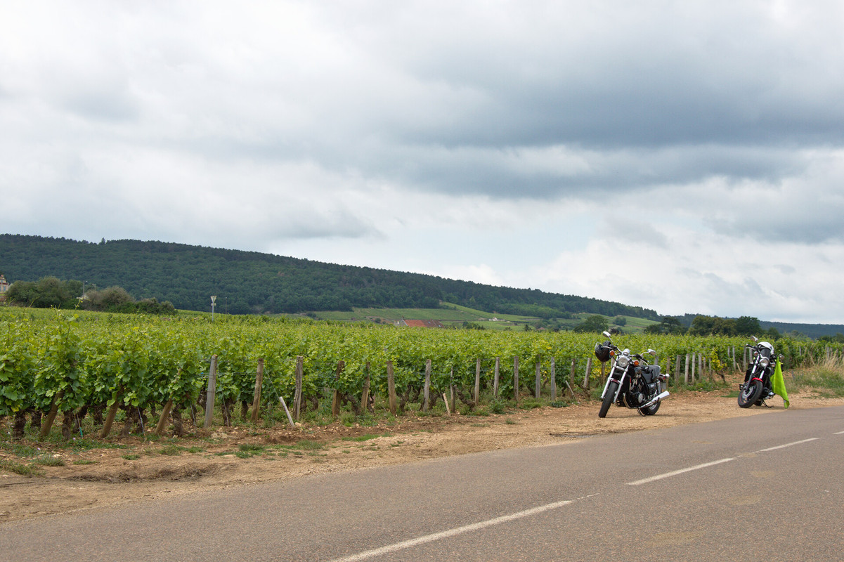 WE en Bourgogne les 22 et 23 juin R-DSC1445