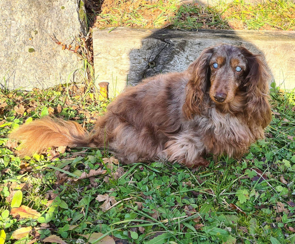 [Image: received-2761173730684599.jpg]