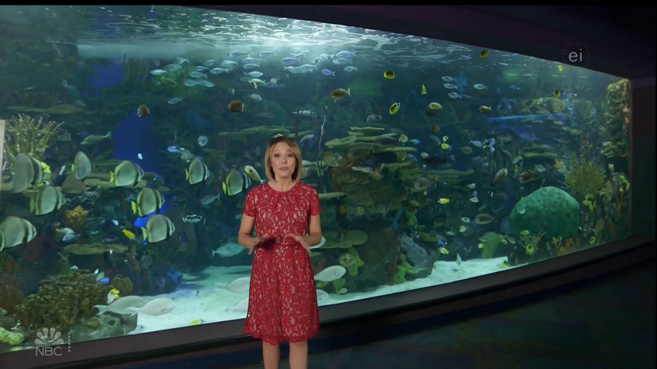 11.07 - 15.00.00 - Earth Odyssey With Dylan Dreyer. The world's smart....ts_snapshot_01.05.13.393