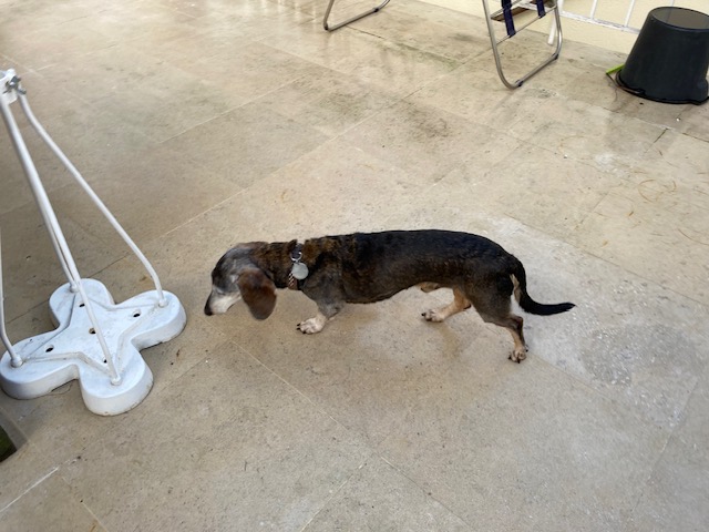 [Image: IMG-3895.jpg]