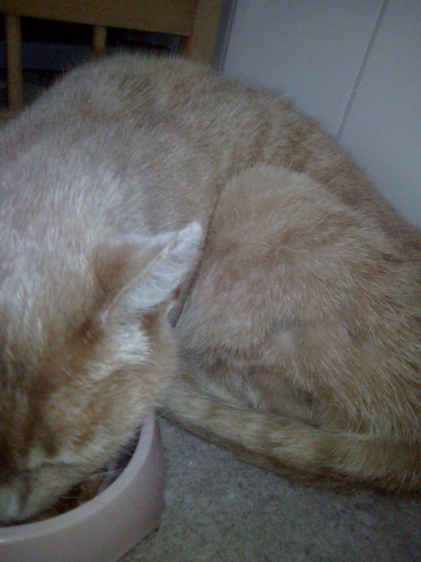 Злата в начале жизни у нас (2)