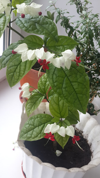 20180417_170738