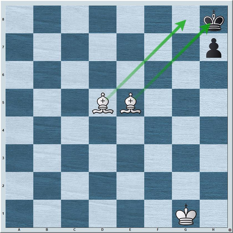 Paul Morphy's Amazing Checkmate With A Single Bishop 