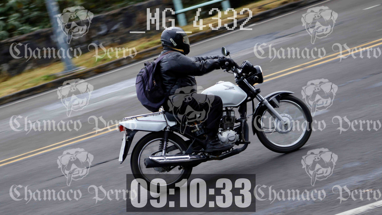 MUESTRA MG 4332 — Postimages