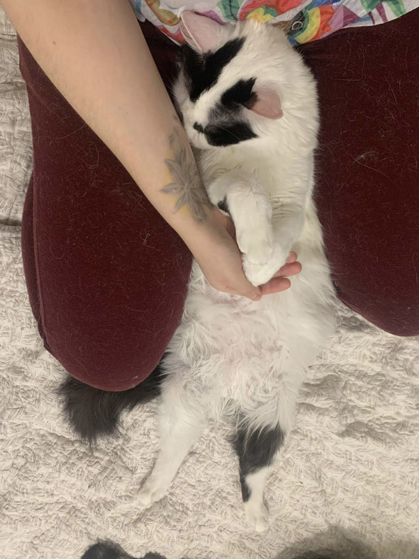 F66EB0ED-3CEB-496A-B343-59D4615C8973