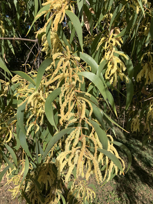 D3A8AB8F-74EE-493F-9C08-6A17E9ADEA5F