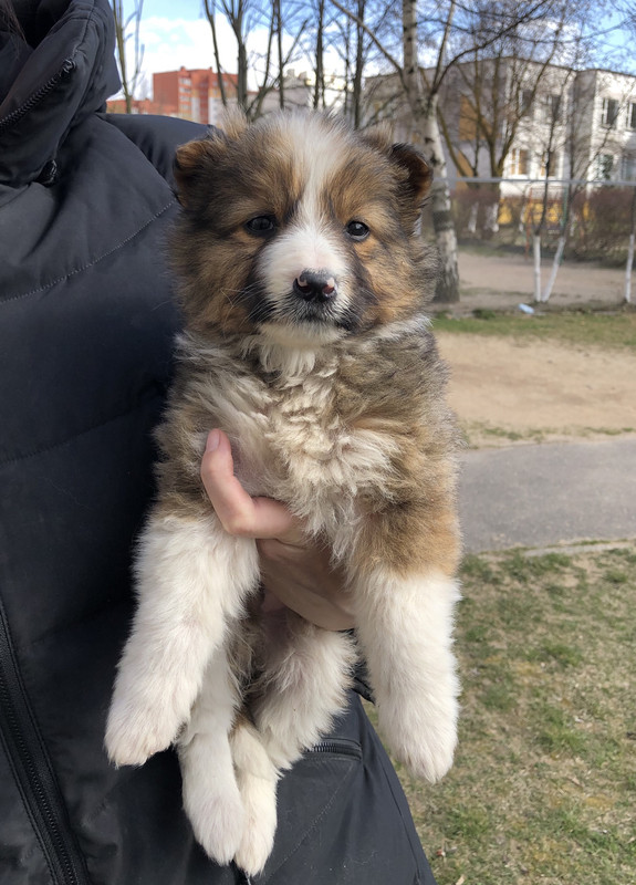 C18627A3-A668-4929-9FD7-AC449E98A061