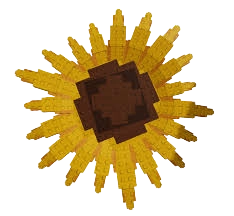 Sunflower Seed