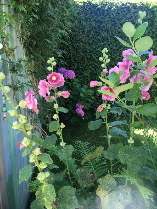 B22E317C-91C9-4199-9415-EFA3BE7111F3