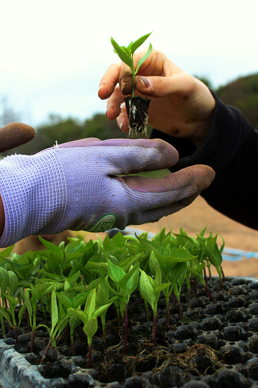  Sustainable Partnerships & Local Growth