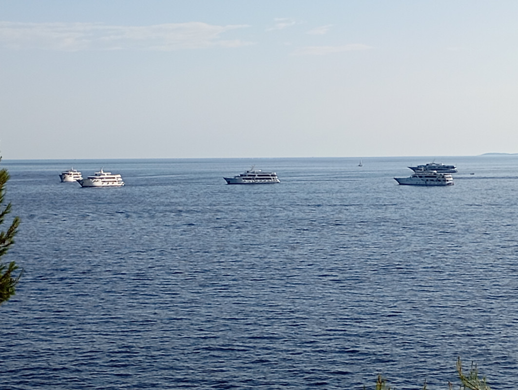 IMG-20250724-181247.jpg