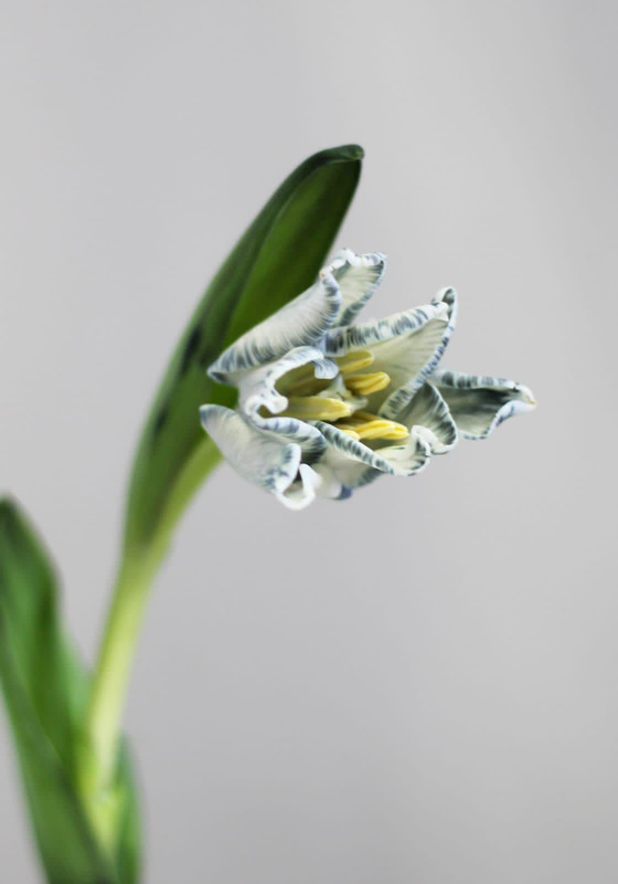 WhatsApp Image 2023-03-04 at 10.48.34