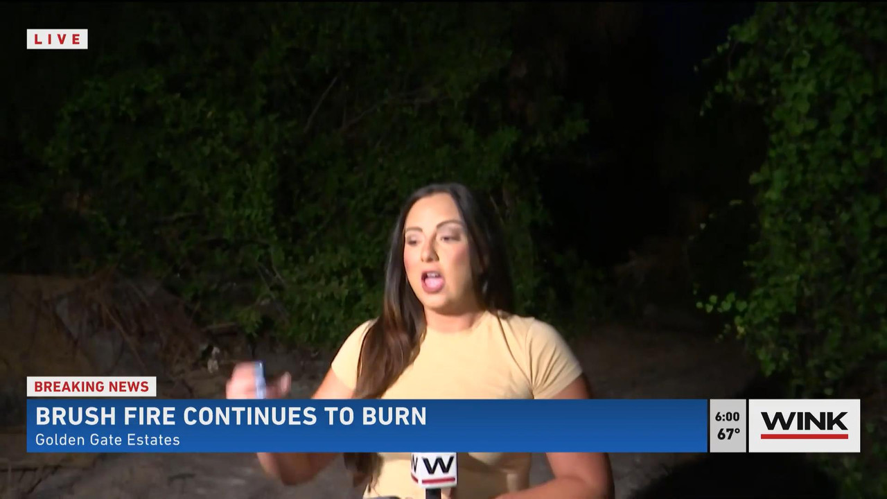 05.23 - 11.00.00 - WINK News @ 6 00AM Sunday. Local news, sports and ....ts_snapshot_01.10_[2021.05.